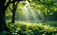 Giovani attivisti per l'ambiente in azione