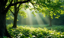 Giovani attivisti per l'ambiente in azione