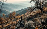 Incendi devastanti in corso ad Ascoli Piceno