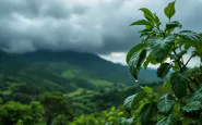 Previsioni meteo Italia con maltempo e temperature elevate