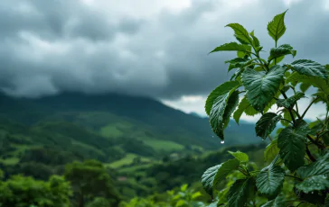 Previsioni meteo Italia con maltempo e temperature elevate