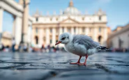 Immagine che rappresenta la fusione tra natura e sacralità al Vaticano