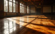 Immagine di Sognando…Ballando con le stelle in azione