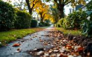 Resti inquietanti scoperti nel parco della Crocetta a Parma