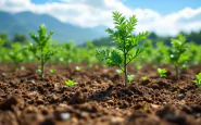 Progetto di riforestazione a Roma per la biodiversità