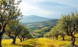 Immagine del referendum per l'indipendenza della Sicilia