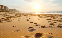 Donna travolta da ruspa sulla spiaggia di Pinarella di Cervia