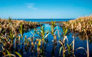 Un pescatore nel Delta del Po colpito da folgorazione