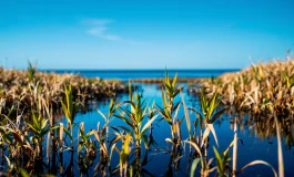 Un pescatore nel Delta del Po colpito da folgorazione