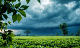 Previsioni meteo per un weekend di sole dopo pioggia