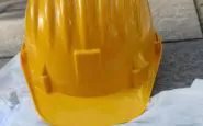 featured 2229785