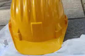 featured 2229785