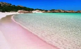 veronica isola dei famosi concorrenti