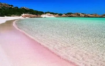 veronica isola dei famosi concorrenti