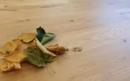 notizie 3