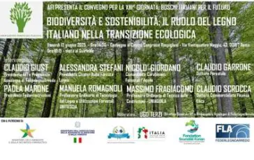 featured 2304954 364x230