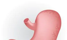 featured 2399598 265x160