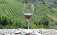foto valpolicella6 1