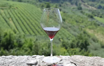 foto valpolicella6 1