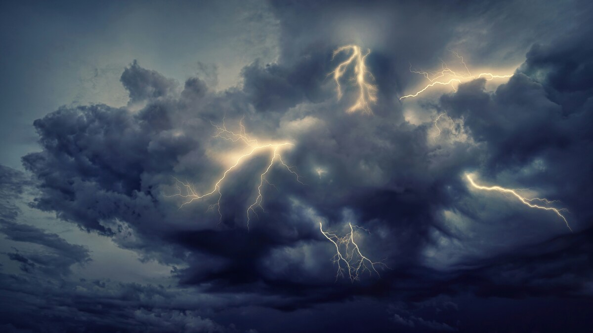 https://www.notizie.it/wp-content/uploads/2025/06/image-85d6cb76-984f-42bb-bc90-8af4ceef3df8.jpg