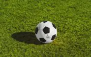 acerbi tifoso psg