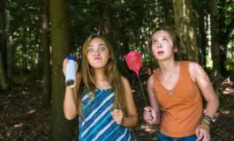 Mosche in casa a giugno: perché aumentano e come liberarsene