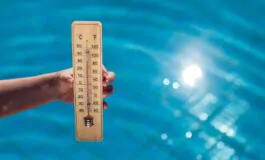 caldo record