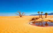 temperature record nel 2025 il mondo affronta un cambiamento climatico allarmante 1749630396