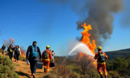 emergenza incendi evacuazioni e interventi a castiglione della pescaia 1752207810 265x160