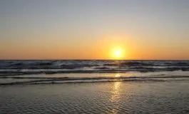 featured 2557405 265x160