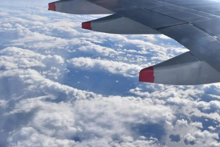 serpente su aereo