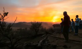 incendi in siria come la comunita affronta la catastrofe 1752232484 265x160