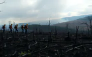 incendi in toscana cosa ci dicono i dati python 1753825881