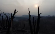 incendi in turchia la catastrofe che nessuno vuole vedere python 1753691362
