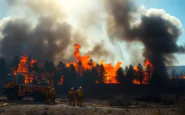 incendi in turchia la verita scomoda dietro le statistiche 1753323575