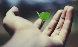 Innovazione ed ESG: le sfide degli istituti di credito tra regolamenti UE e competitività