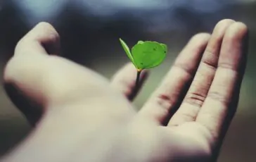 Innovazione ed ESG: le sfide degli istituti di credito tra regolamenti UE e competitività
