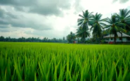 nipah virus unepidemia in silenzio in kerala python 1753527960