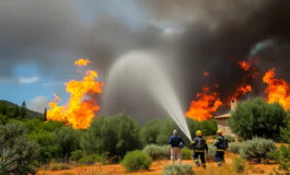orosei in fiamme la gestione degli incendi in italia python 1753705529 265x160