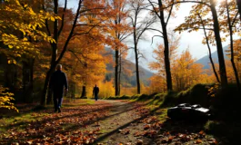 Tragic discovery in Valtellina: Elderly man loses life in accident 1752545179 265x160