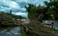 tempesta a verona alberi abbattuti e traffico in tilt 1752036809