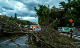 tempesta a verona alberi abbattuti e traffico in tilt 1752036809 265x160