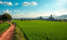 thailandia e cambogia oltre la narrativa del conflitto python 1753769807 265x160