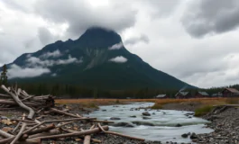 tsunami in arrivo terremoto di magnitudo 88 scuote kamchatka python 1753863785 265x160