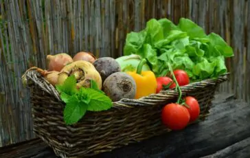 I lati positivi di consumare più ortaggi