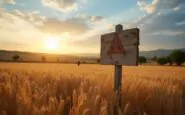west nile in italia unanalisi dei casi e della reale minaccia replicate 1753401479