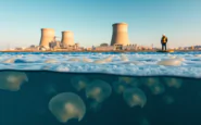 centrale nucleare francese chiusa a causa di uninvasione di meduse python 1754979126