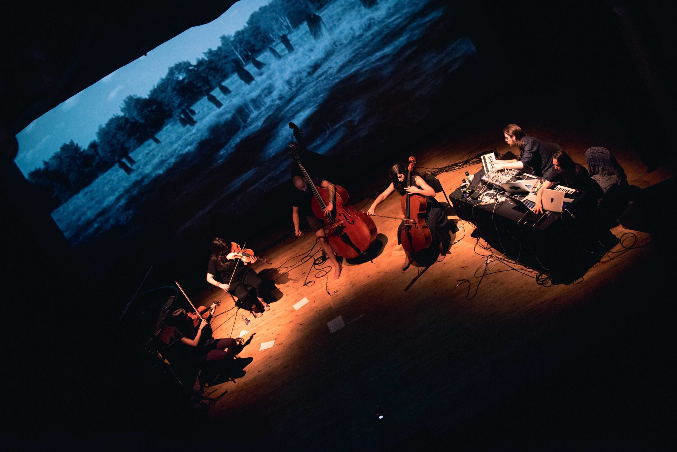 WOS Festival 2025: 5 artisti da non perdere