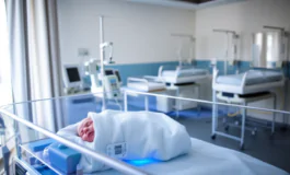 contaminazione in ospedale a bolzano neonati deceduti python 1755360328 265x160