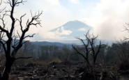 emergenza incendi in campania la verita che non vogliono dirti python 1754690258